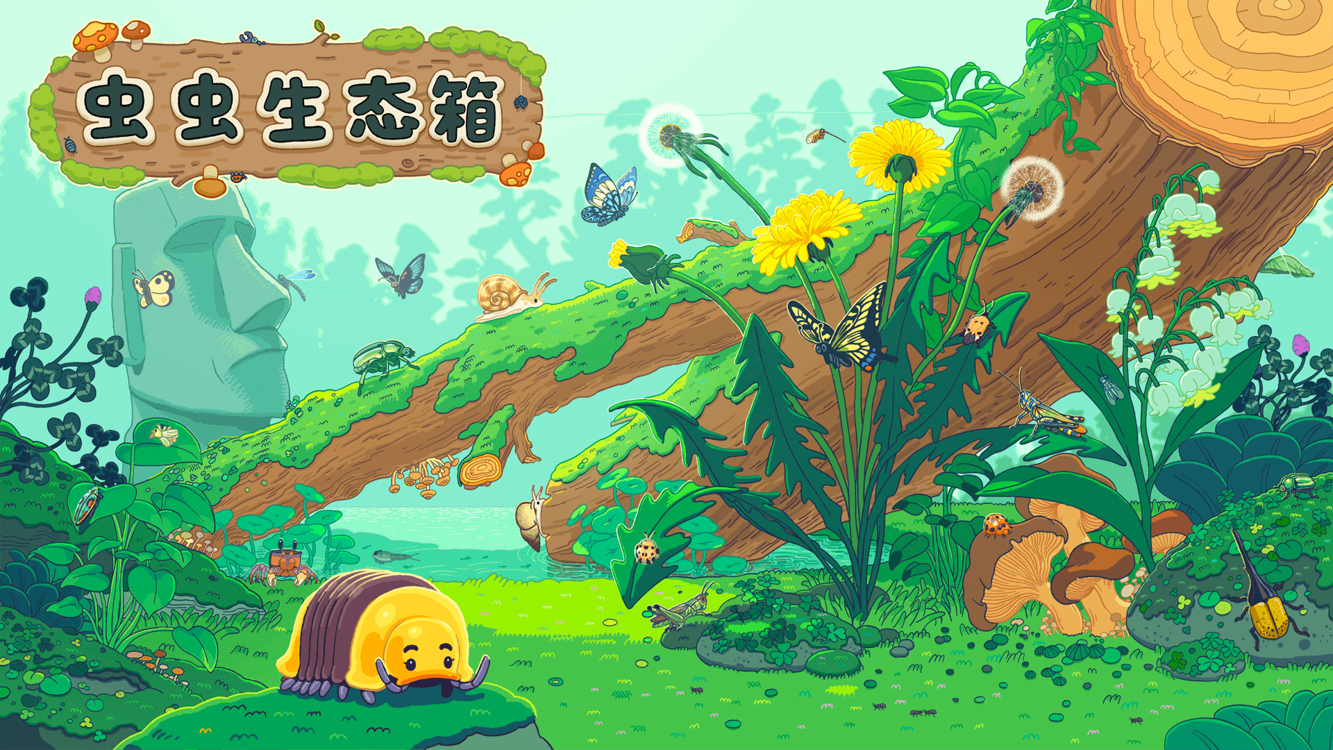 虫虫生态箱
